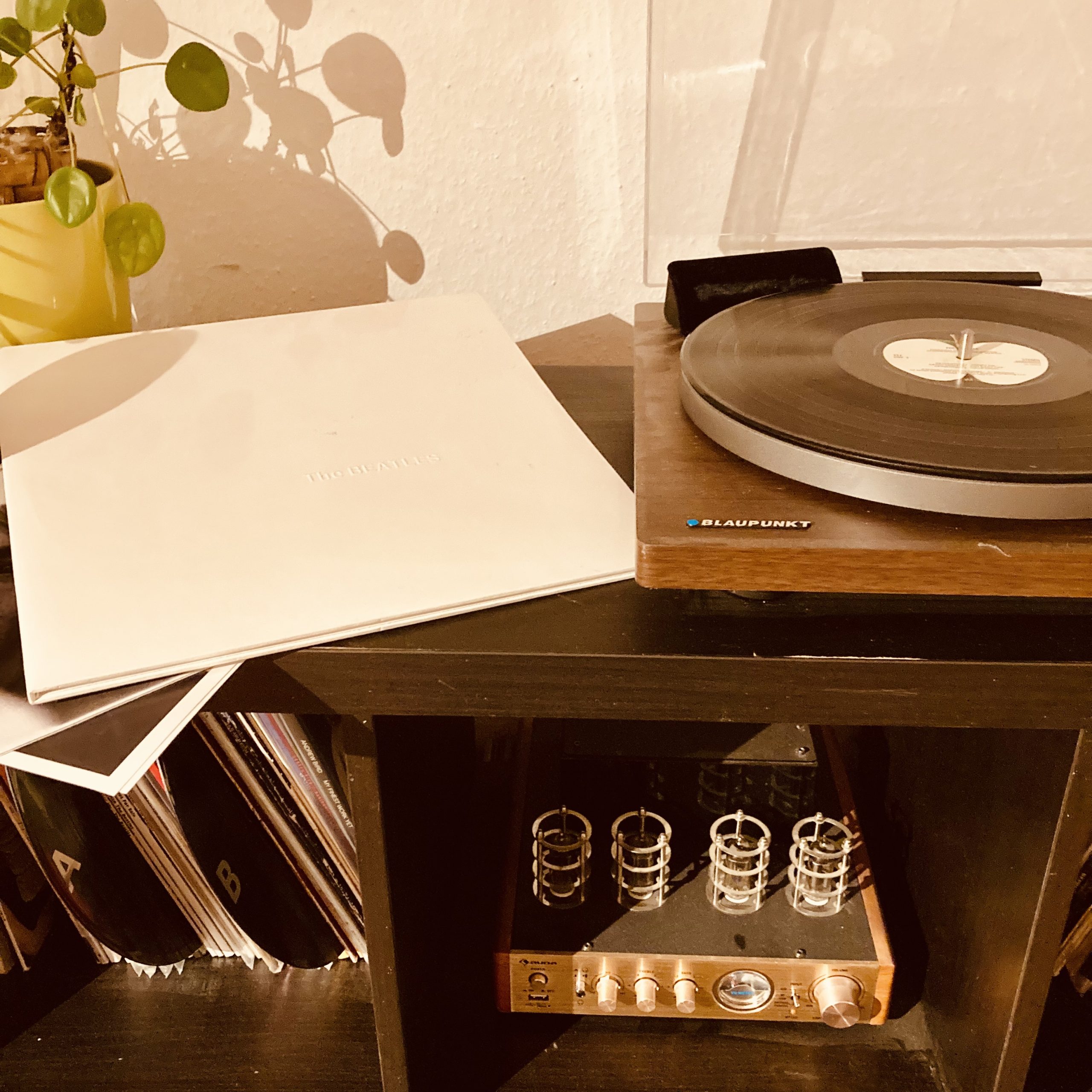 Atmo - Beatles - White Album